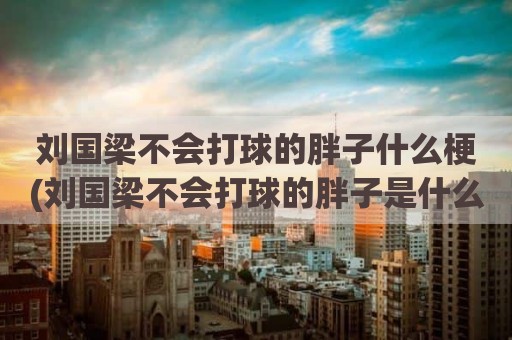 刘国梁不会打球的胖子什么梗(刘国梁不会打球的胖子是什么梗)