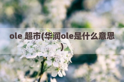 ole 超市(华润ole是什么意思)