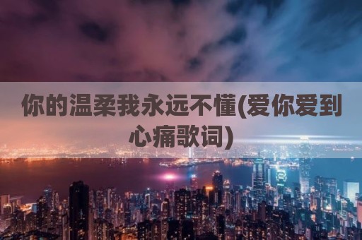 你的温柔我永远不懂(爱你爱到心痛歌词)