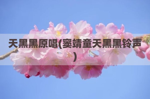 天黑黑原唱(窦靖童天黑黑铃声)