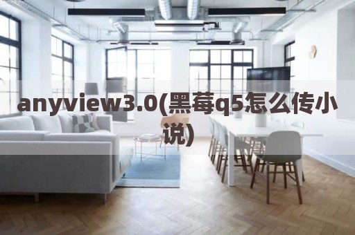 anyview3.0(黑莓q5怎么传小说)