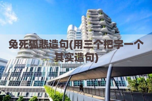 兔死狐悲造句(用三个把字一个其实造句)