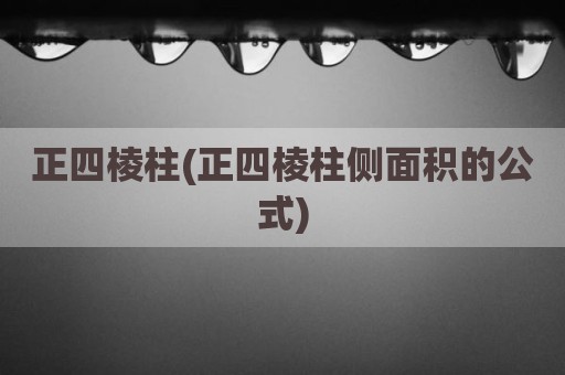 正四棱柱(正四棱柱侧面积的公式)