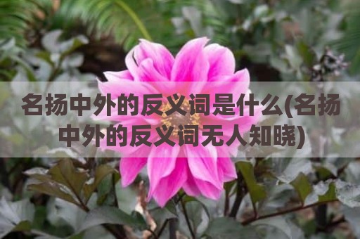 名扬中外的反义词是什么(名扬中外的反义词无人知晓)