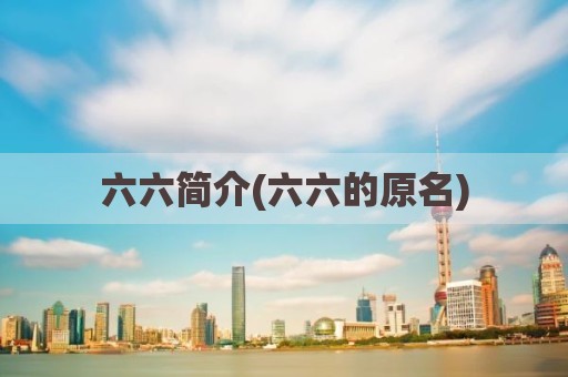 六六简介(六六的原名)