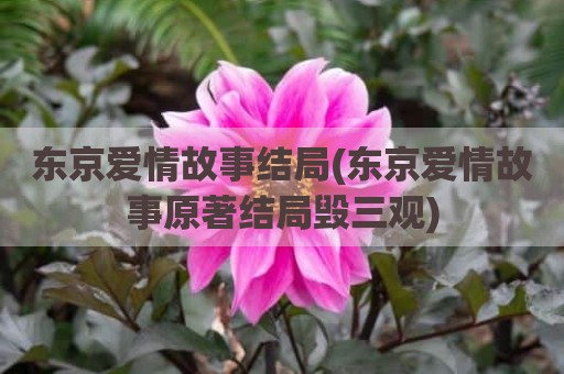 东京爱情故事结局(东京爱情故事原著结局毁三观)