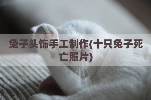 兔子头饰手工制作(十只兔子死亡照片)