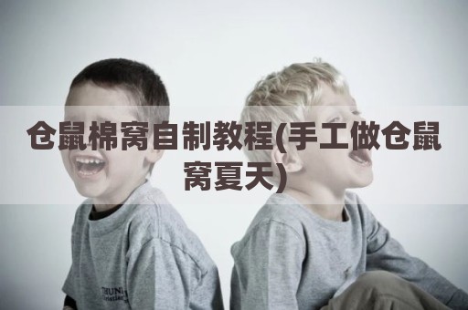 仓鼠棉窝自制教程(手工做仓鼠窝夏天)
