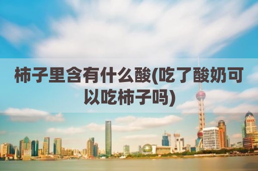 柿子里含有什么酸(吃了酸奶可以吃柿子吗)