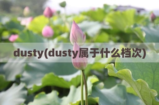 dusty(dusty属于什么档次)