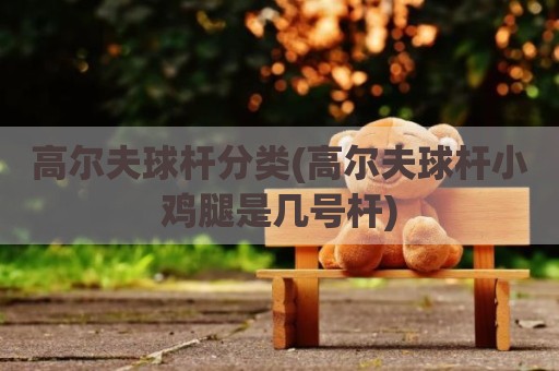 高尔夫球杆分类(高尔夫球杆小鸡腿是几号杆)