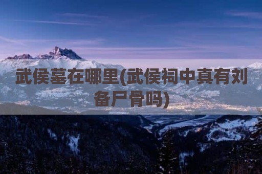 武侯墓在哪里(武侯祠中真有刘备尸骨吗)