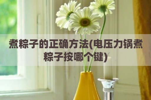 煮粽子的正确方法(电压力锅煮粽子按哪个键)