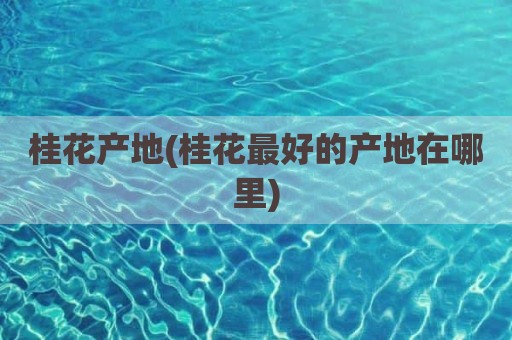 桂花产地(桂花最好的产地在哪里)