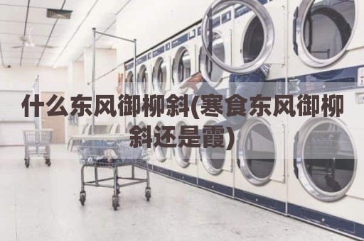 什么东风御柳斜(寒食东风御柳斜还是霞)