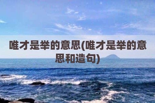 唯才是举的意思(唯才是举的意思和造句)