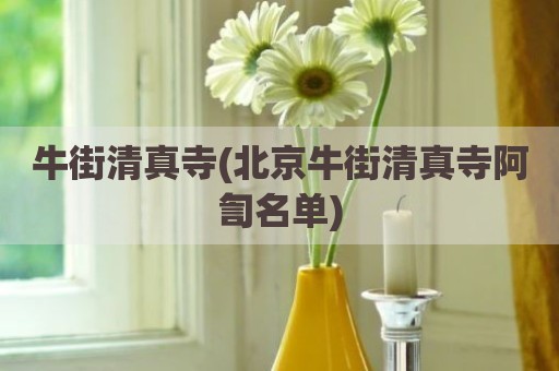 牛街清真寺(北京牛街清真寺阿訇名单)