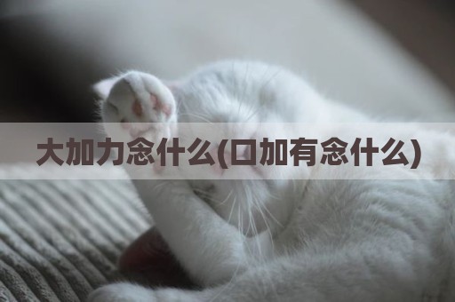 大加力念什么(口加有念什么)