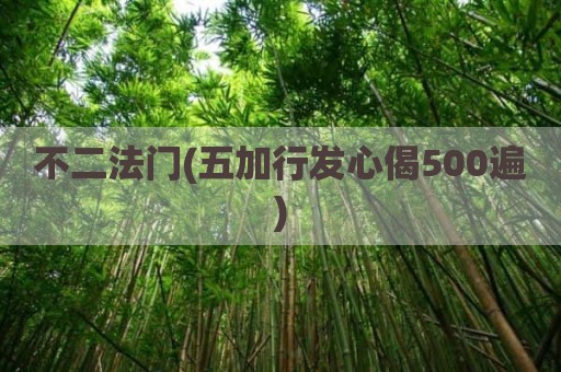 不二法门(五加行发心偈500遍)