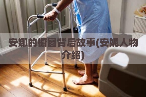 安娜的橱窗背后故事(安妮人物介绍)
