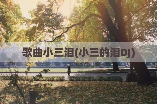 歌曲小三泪(小三的泪DJ)