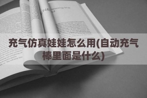 充气仿真娃娃怎么用(自动充气棒里面是什么)