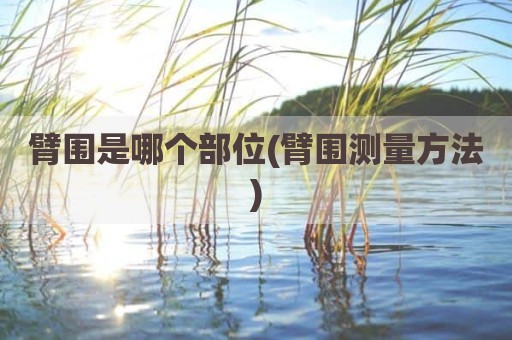 臂围是哪个部位(臂围测量方法)
