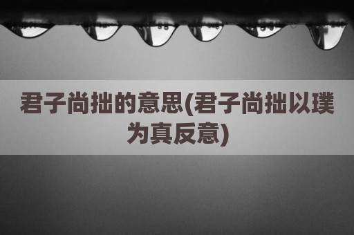 君子尚拙的意思(君子尚拙以璞为真反意)