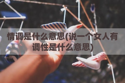 情调是什么意思(说一个女人有调性是什么意思)