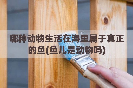 哪种动物生活在海里属于真正的鱼(鱼儿是动物吗)