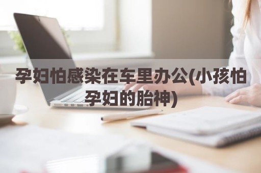 孕妇怕感染在车里办公(小孩怕孕妇的胎神)