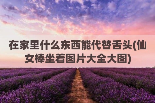 在家里什么东西能代替舌头(仙女棒坐着图片大全大图)