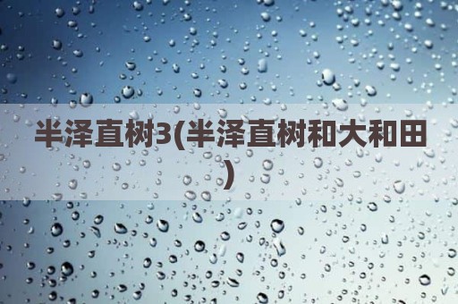 半泽直树3(半泽直树和大和田)