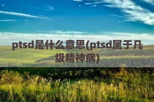 ptsd是什么意思(ptsd属于几级精神病)