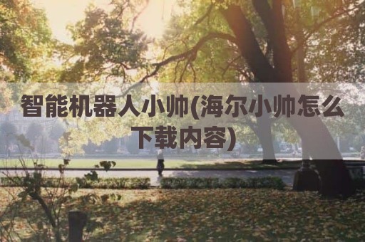 智能机器人小帅(海尔小帅怎么下载内容)