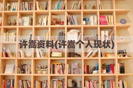 许嵩资料(许嵩个人现状)
