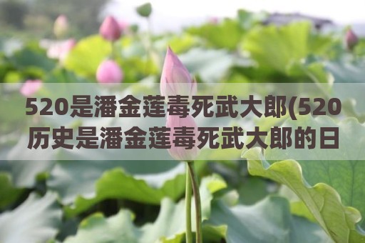 520是潘金莲毒死武大郎(520历史是潘金莲毒死武大郎的日子)