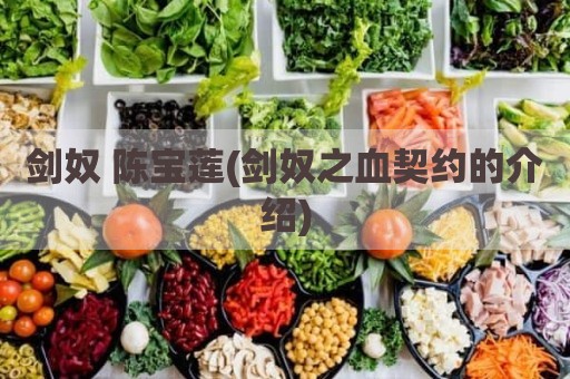 剑奴 陈宝莲(剑奴之血契约的介绍)