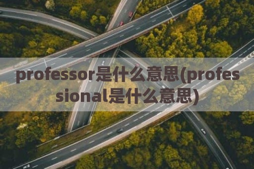 professor是什么意思(professional是什么意思)