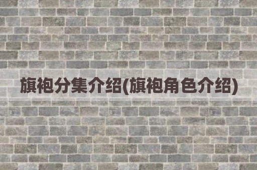 旗袍分集介绍(旗袍角色介绍)