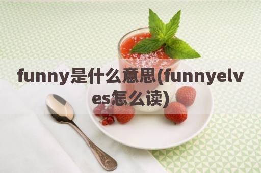 funny是什么意思(funnyelves怎么读)