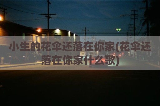 小生的花伞还落在你家(花伞还落在你家什么歌)