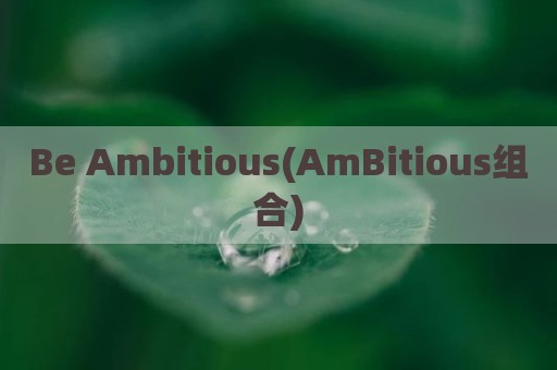 Be Ambitious(AmBitious组合)