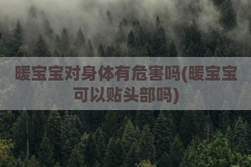 暖宝宝对身体有危害吗(暖宝宝可以贴头部吗)