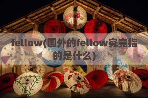 fellow(国外的fellow究竟指的是什么)