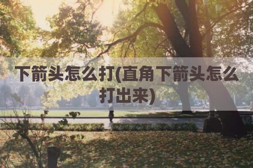下箭头怎么打(直角下箭头怎么打出来)