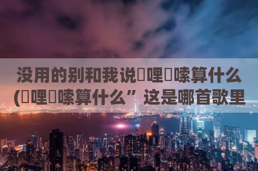 没用的别和我说啰哩啰嗦算什么(啰哩啰嗦算什么”这是哪首歌里边的歌词)