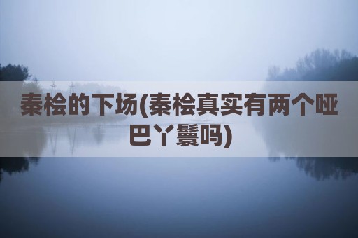 秦桧的下场(秦桧真实有两个哑巴丫鬟吗)