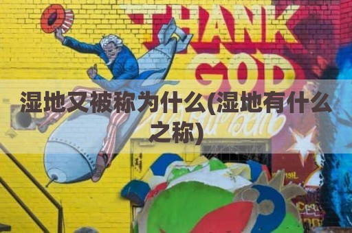 湿地又被称为什么(湿地有什么之称)