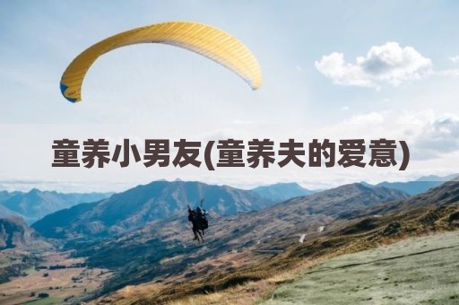童养小男友(童养夫的爱意)